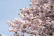 image0273