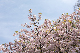 image0275