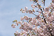 image0276