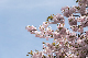 image0277