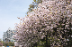 image0278