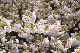 image0280