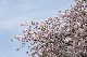image0282