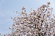 image0283