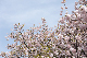 image0284