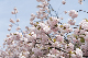 image0287