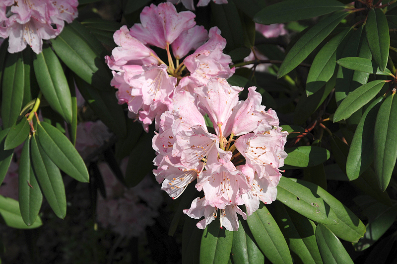 image0097