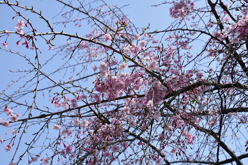 image0107