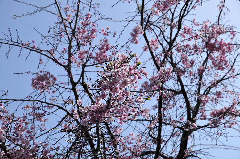image0108