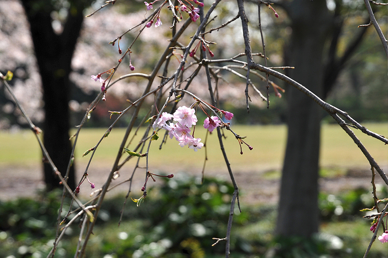 image0111