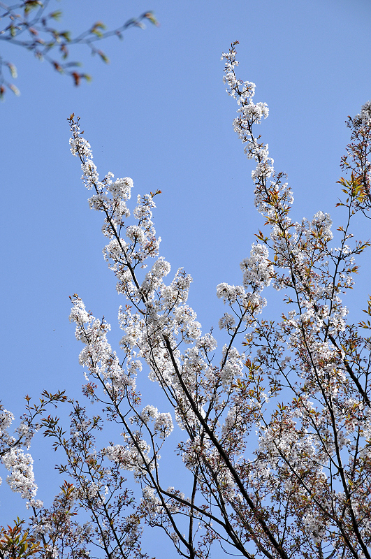 image0114