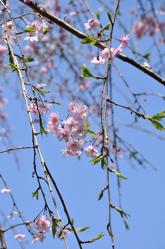 image0124