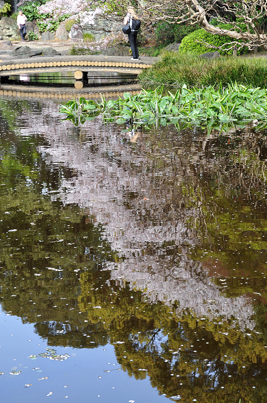 image0130
