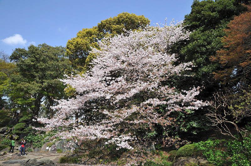 image0136