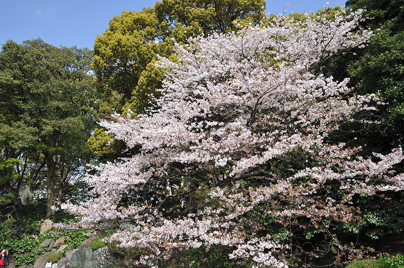 image0138