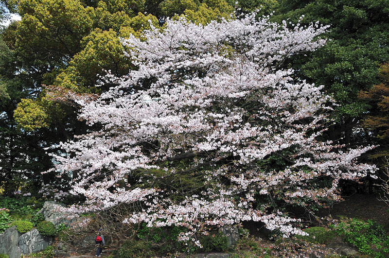 image0139