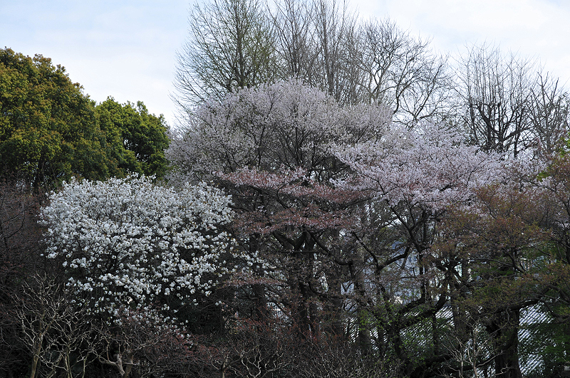 image0140