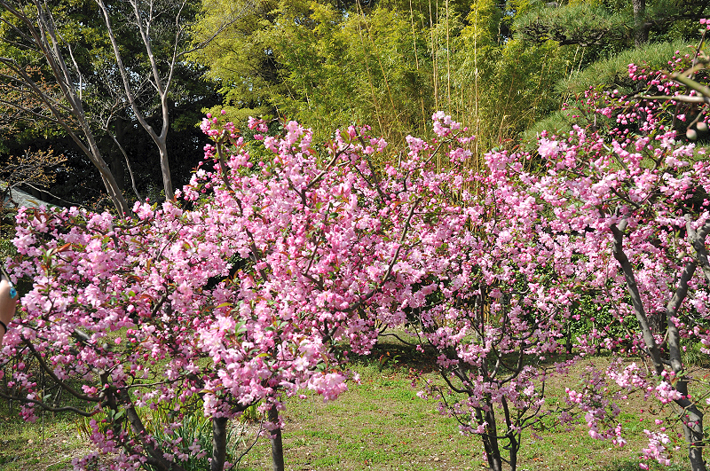 image0142
