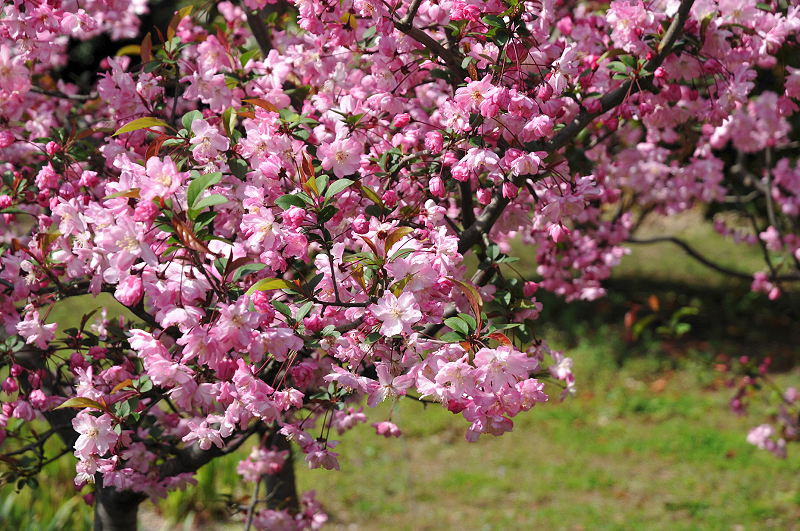image0143