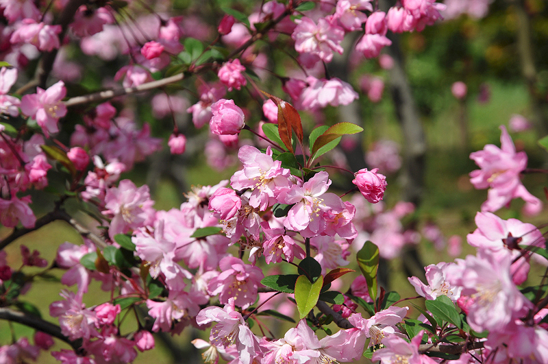 image0147