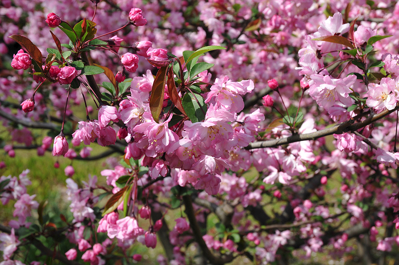 image0149