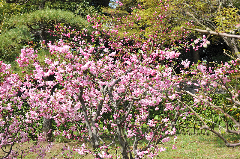 image0156