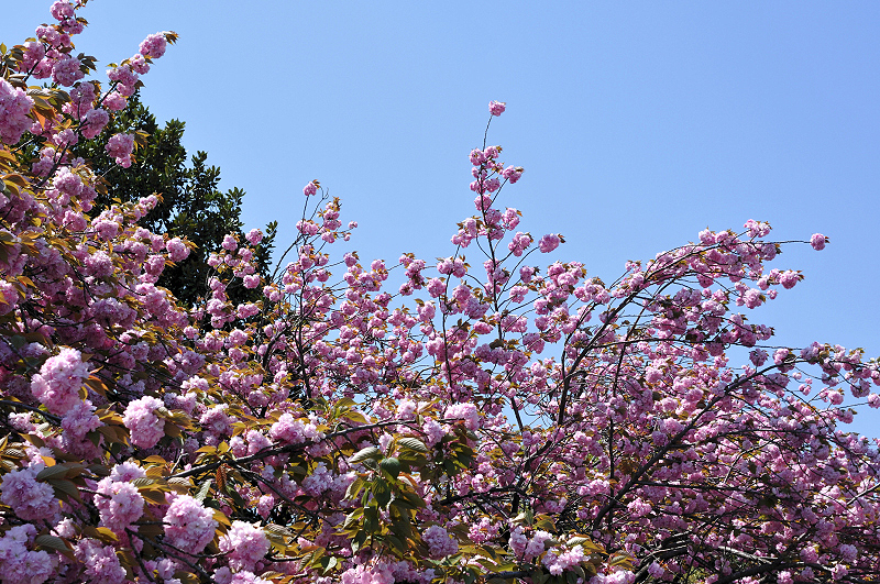 image0098