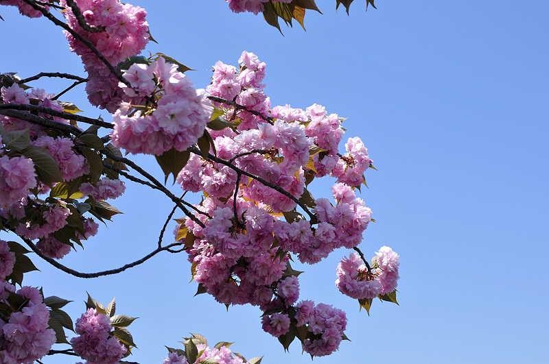 image0107