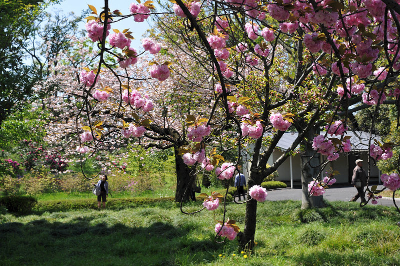 image0108