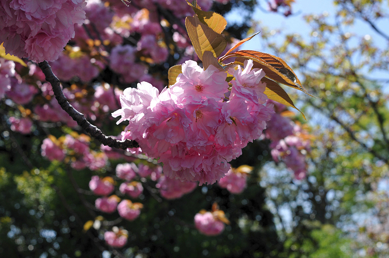 image0110