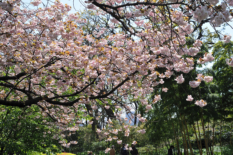 image0114