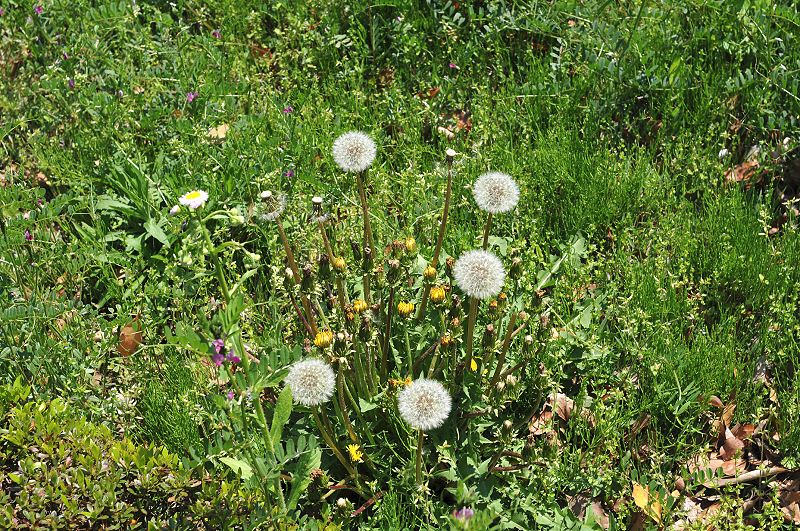 image0120