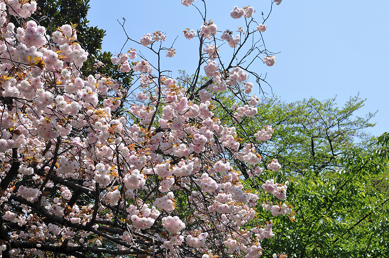 image0123