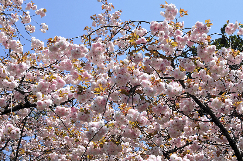 image0124