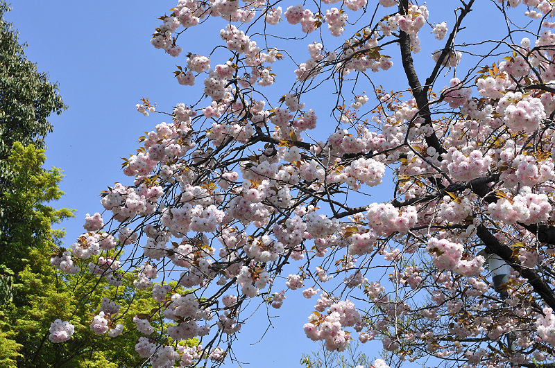 image0126