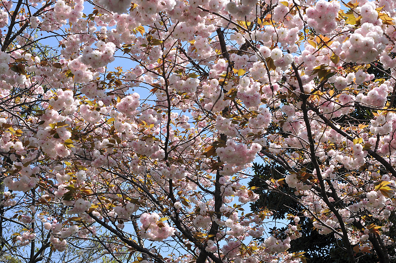 image0127