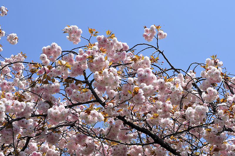 image0129