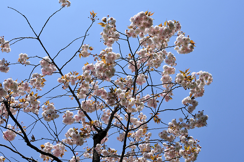 image0134