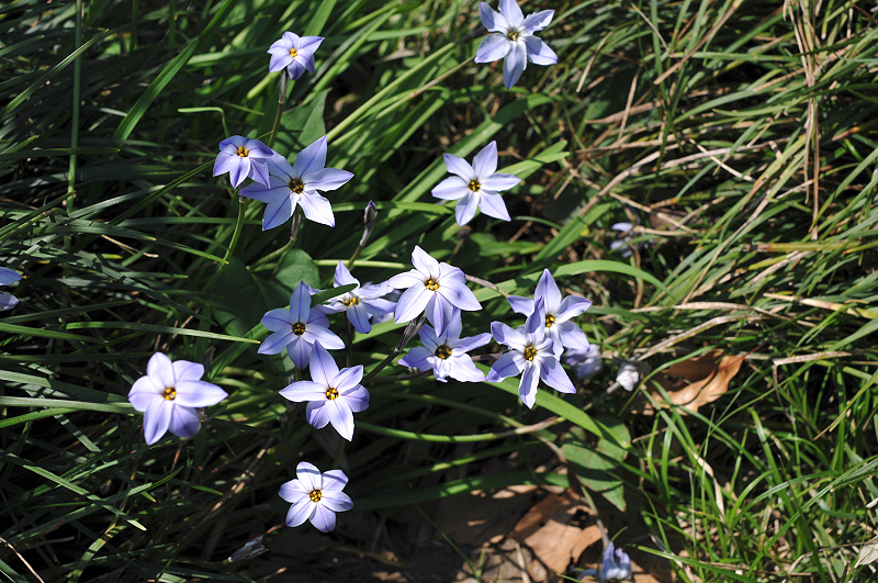 image0143