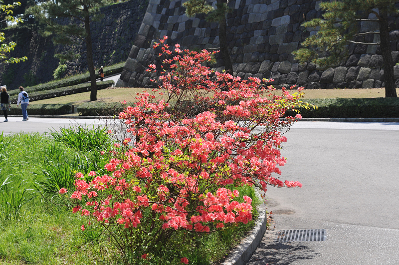 image0161