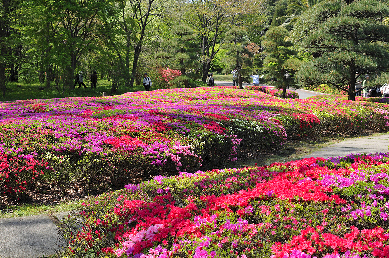 image0173