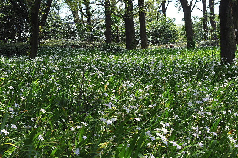 image0187