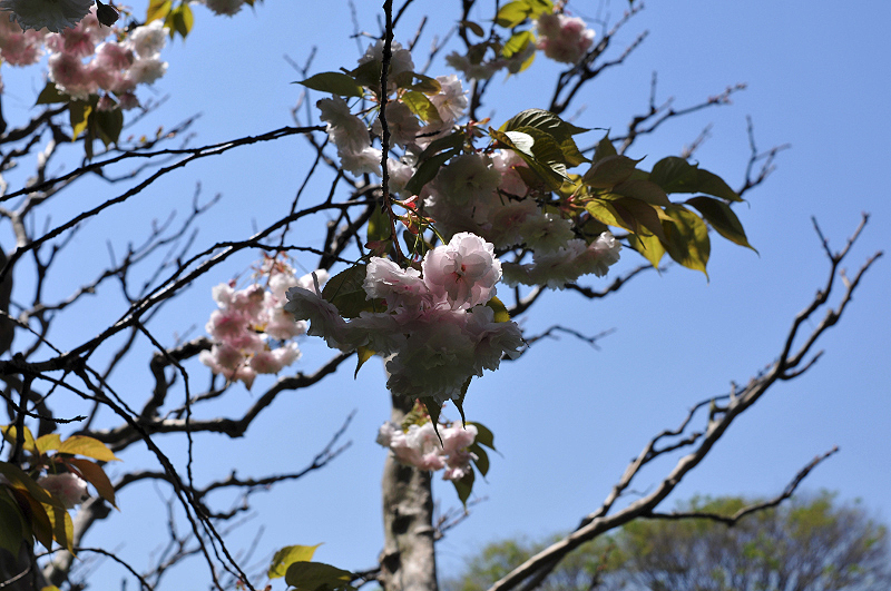 image0191