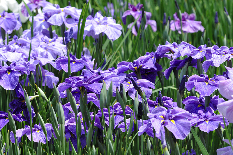 image0111
