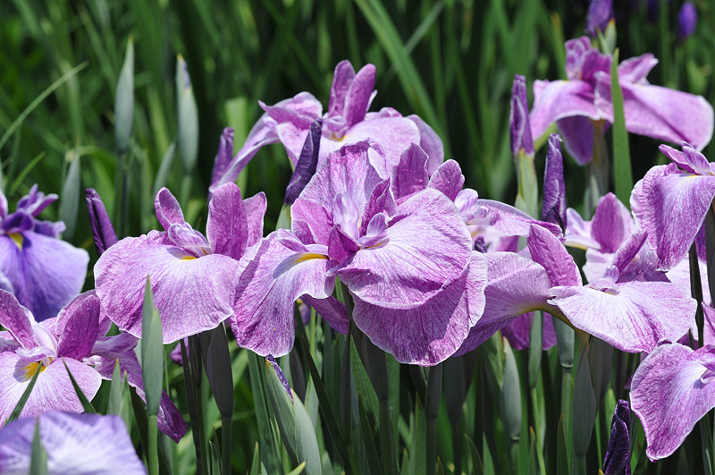 image0121