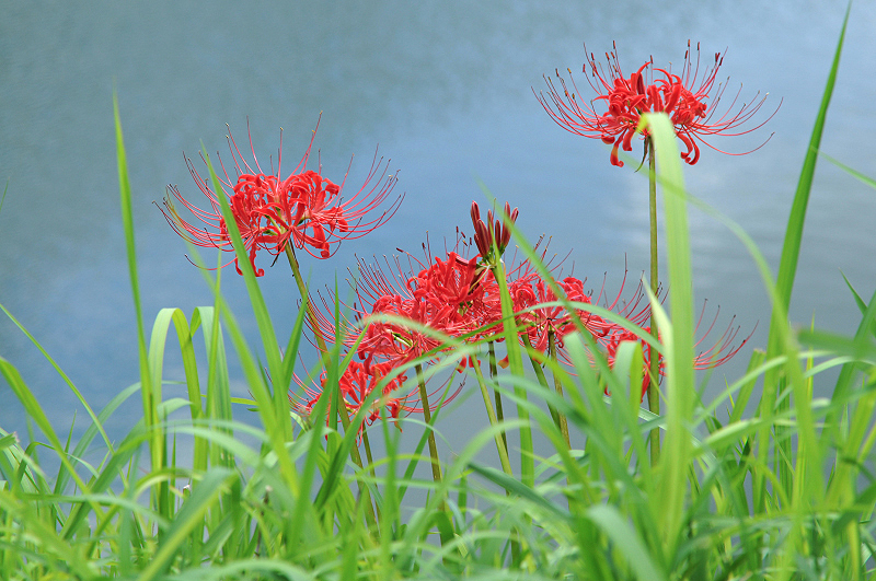 image0097