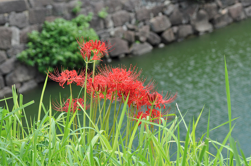 image0098