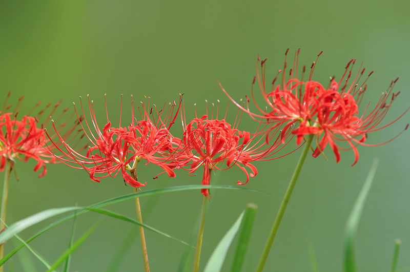 image0103