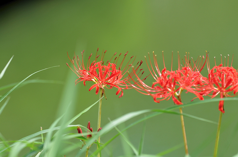 image0104
