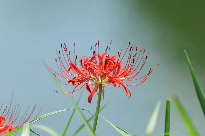 image0105